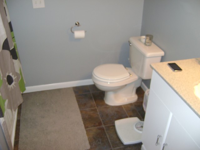 toilet area