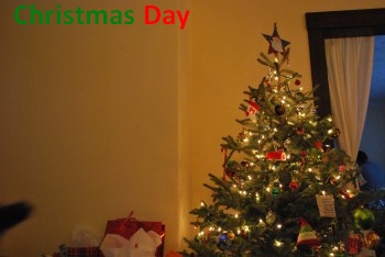 christmas tree