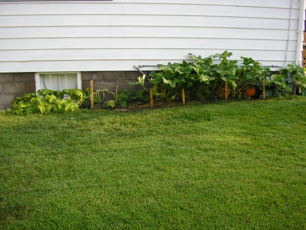 supp garden