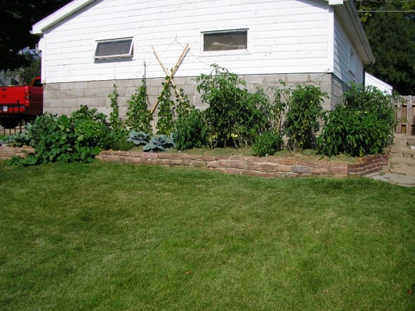 garden