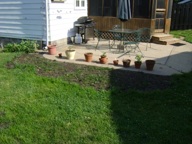 garden