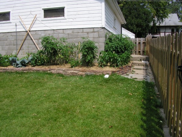 garden, from the right