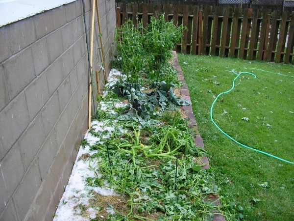 hail damage