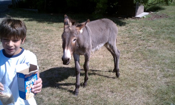 Tyler and Donkey